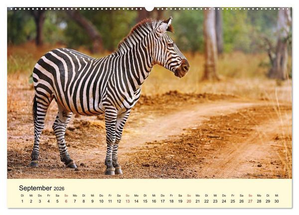 Produktbild: Traumhaftes Malawi (hochwertiger Premium Wandkalender 2026 DIN A2 quer), Kunstdruck in Hochglanz