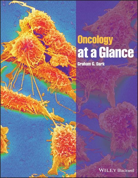 Produktbild: Oncology at a Glance