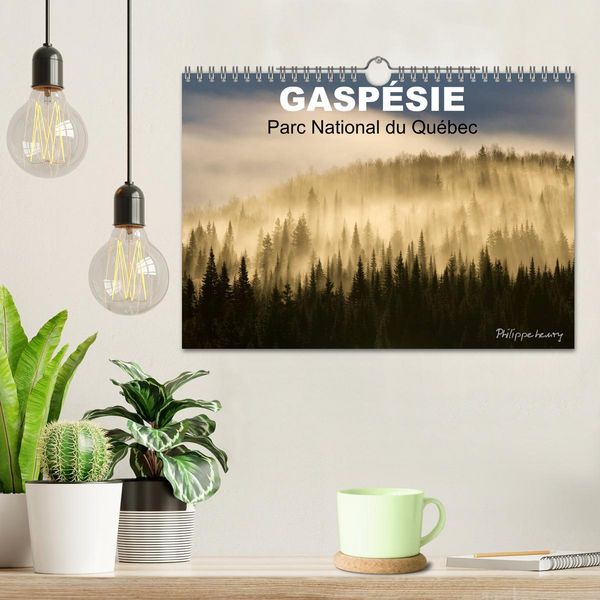 Produktbild: GASP&Eacute;SIE. Parc National du Qu&eacute;bec (Calendrier mural 2026 DIN A4 vertical), CALVENDO calendrier mensuel