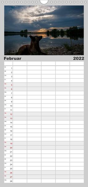 Familienplaner Belgische Schäferhunde - Der Malinois im Licht (Wandkalender 2022 , 21 cm x 45 cm, hoch)