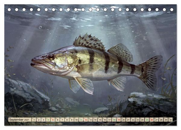 Produktbild: Talsperren - Zander (Tischkalender 2027 DIN A5 quer), CALVENDO Monatskalender