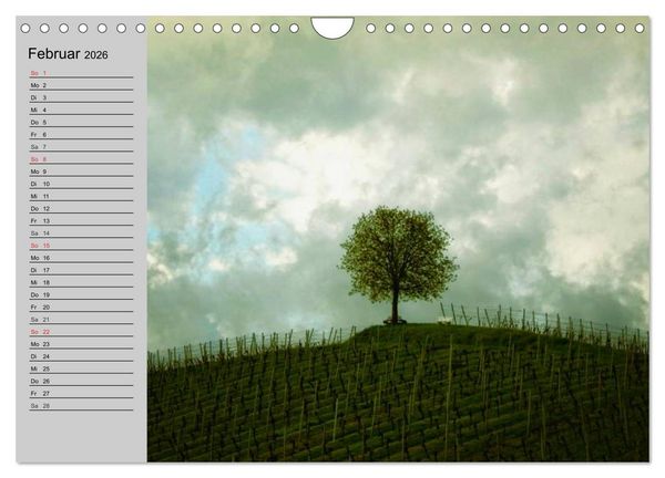 Produktbild: Magische B&auml;ume (Wandkalender 2026 DIN A4 quer), CALVENDO Monatskalender