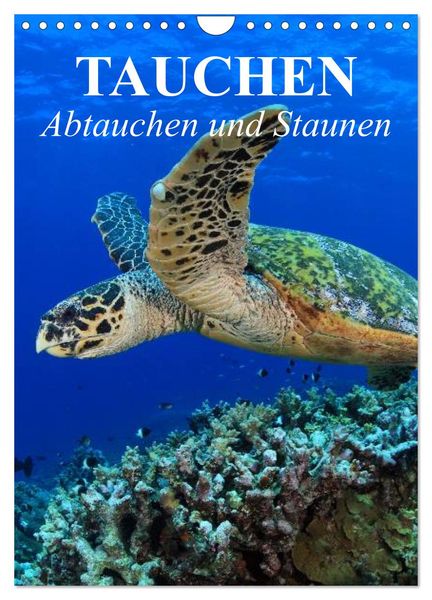 Tauchen - Abtauchen und Staunen (Wandkalender 2025 DIN A4 hoch), CALVENDO Monatskalender