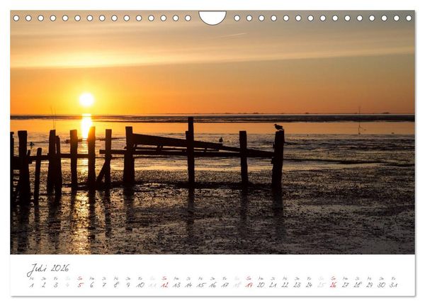 Produktbild: Amrum - Eine farbenfrohe Insellandschaft (Wandkalender 2026 DIN A4 quer), CALVENDO Monatskalender