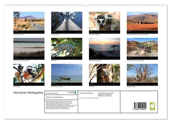 Produktbild: Abenteuer Madagaskar (hochwertiger Premium Wandkalender 2026 DIN A2 quer), Kunstdruck in Hochglanz