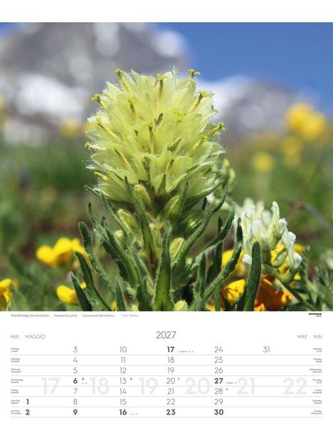 Produktbild: Alpenblumen Kalender 2027
