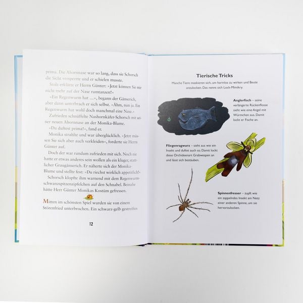 Produktbild: Die kleine Schnecke Monika H&auml;uschen 4: Warum verkleiden sich Tiere?