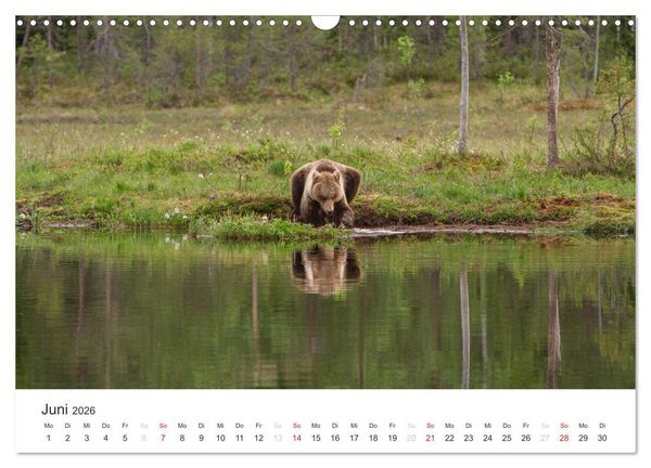 Produktbild: Naturparadies Finnland (Wandkalender 2026 DIN A3 quer), CALVENDO Monatskalender