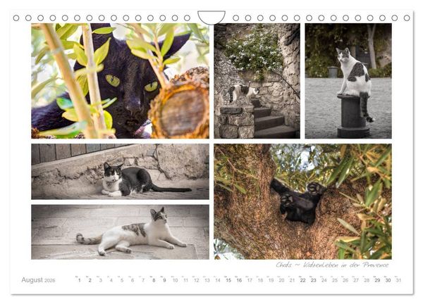 Produktbild: Sehnsucht Provence - Land des Lichts (Wandkalender 2026 DIN A4 quer), CALVENDO Monatskalender