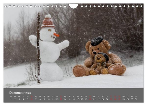 Produktbild: Travelling Teddy 2026 (Wandkalender 2026 DIN A4 quer), CALVENDO Monatskalender