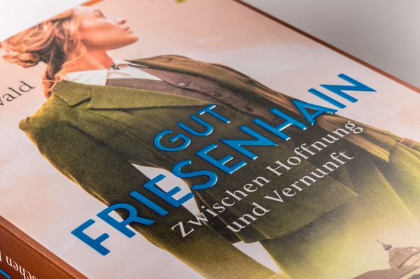 Produktbild: Gut Friesenhain - Zwischen Hoffnung und Vernunft