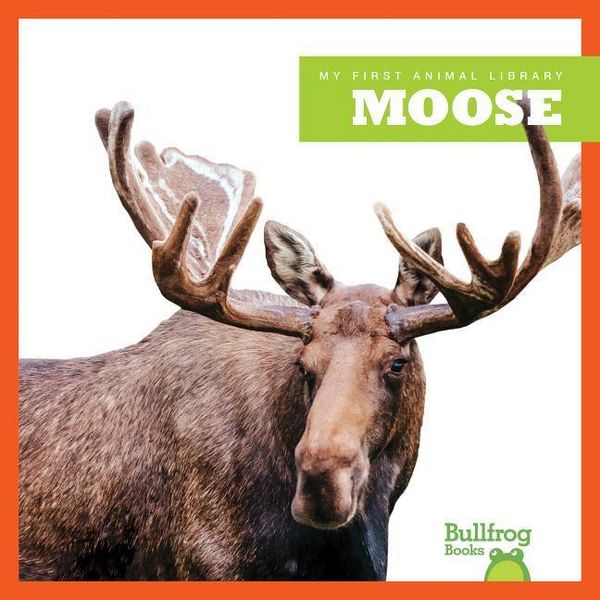 Produktbild: Moose