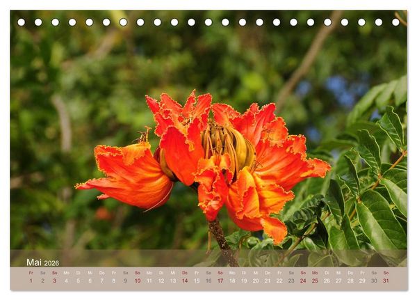 Produktbild: Aloha aus Hawaii (Tischkalender 2026 DIN A5 quer), CALVENDO Monatskalender