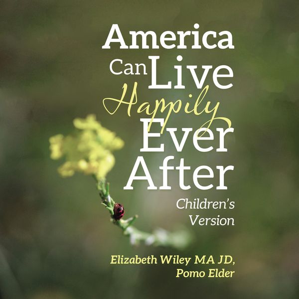 Produktbild: America Can Live Happily Ever After