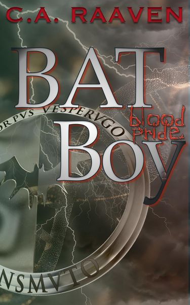 Produktbild: BAT Boy 2