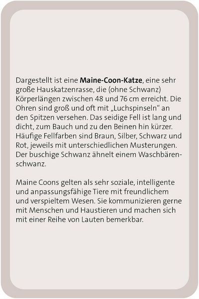 Produktbild: Das gro&szlig;e Katzen Quiz