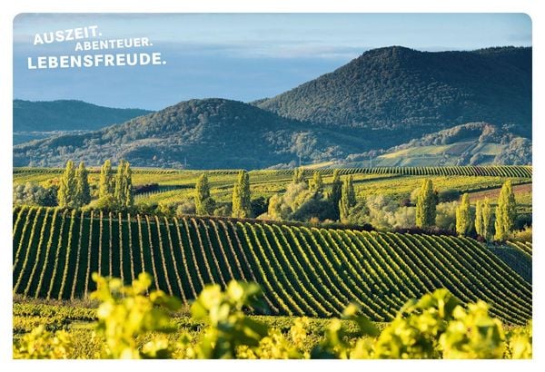 Produktbild: 52 kleine & gro&szlig;e Eskapaden in der Pfalz