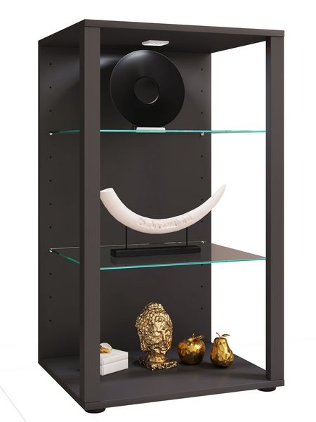 Produktbild: Holz Glas Stand Vitrine Sammelvitrine Glasol XL