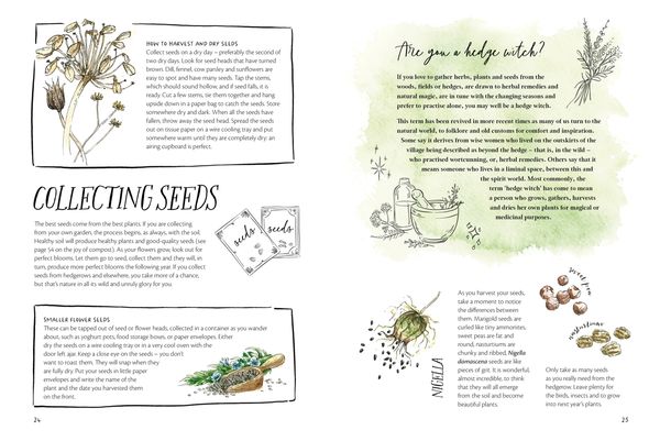Produktbild: The Magic of Seeds