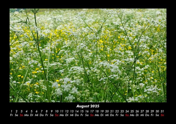 Produktbild: Blumenkalender 2025 Fotokalender DIN A3