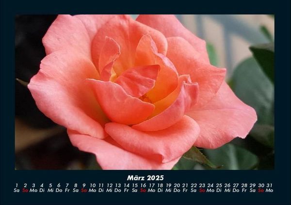 Produktbild: Blumentr&auml;ume 2025 Fotokalender DIN A4