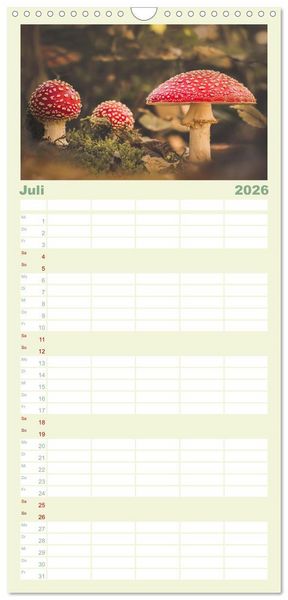 Produktbild: Familienplaner 2026 - Die Welt der Fliegenpilze mit 5 Spalten (Wandkalender, 21 x 45 cm) CALVENDO