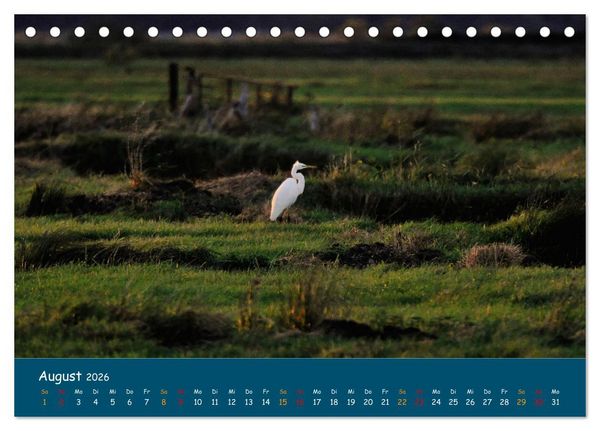 Produktbild: Naturschutzgebiet W&uuml;mme (Tischkalender 2026 DIN A5 quer), CALVENDO Monatskalender