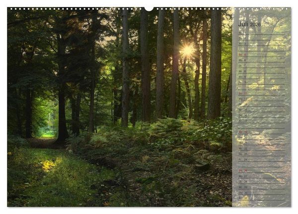 Produktbild: Unser Wald - Magische Sichten in norddeutsche W&auml;lder / Geburtstagskalender (hochwertiger Premium Wandkalender 2026 DIN A2 quer), Kunstdruck in Hochglanz