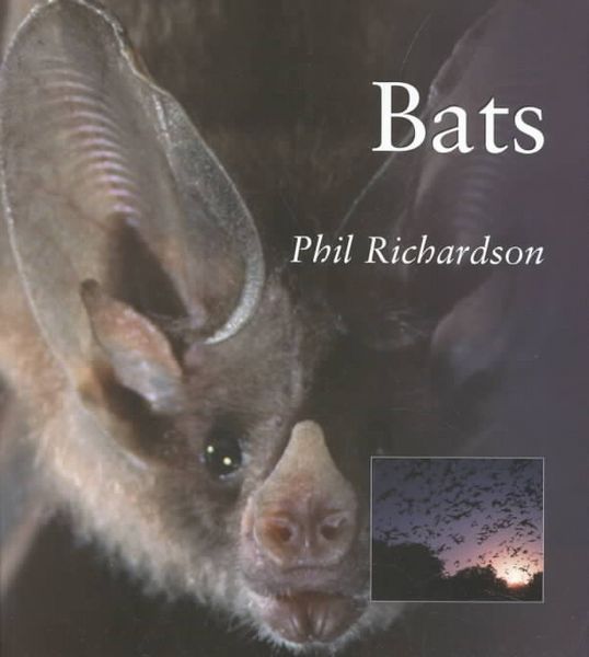 Produktbild: Bats PB