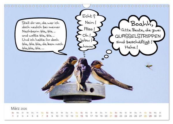 Produktbild: Wenn Schwalben reden (Wandkalender 2026 DIN A3 quer), CALVENDO Monatskalender