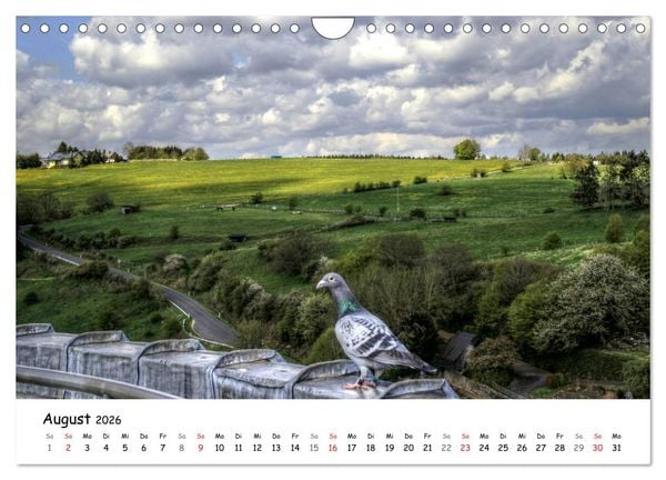 Produktbild: Die sch&ouml;nsten Orte der Eifel - Reifferscheid (Wandkalender 2026 DIN A4 quer), CALVENDO Monatskalender