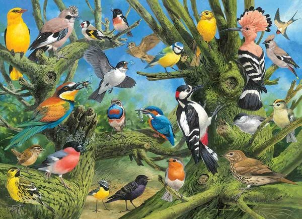 Produktbild: Garden Birds 1000pc Puzzle