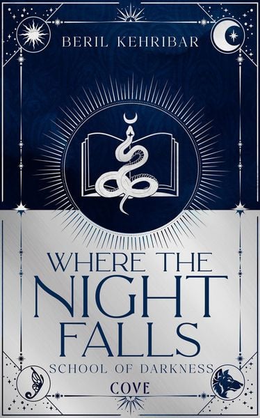 Produktbild: Where the Night Falls (School of Darkness 1)