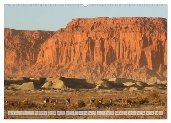 Produktbild: Argentinien Christian Heeb (Wandkalender 2026 DIN A2 quer), CALVENDO Monatskalender