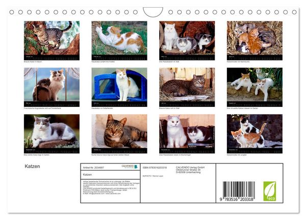 Produktbild: Katzen (Wandkalender 2026 DIN A4 quer), CALVENDO Monatskalender