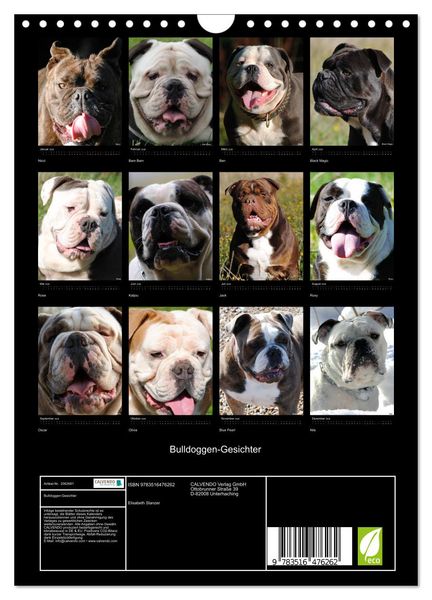 Produktbild: Bulldoggen-Gesichter (Wandkalender 2026 DIN A4 hoch), CALVENDO Monatskalender