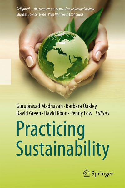Produktbild: Practicing Sustainability