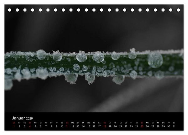 Produktbild: schwarz/wei&szlig; trifft farbe (Tischkalender 2026 DIN A5 quer), CALVENDO Monatskalender