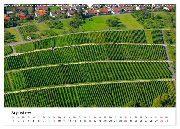 Produktbild: W&uuml;rttemberger Wein 2026 (hochwertiger Premium Wandkalender 2026 DIN A2 quer), Kunstdruck in Hochglanz