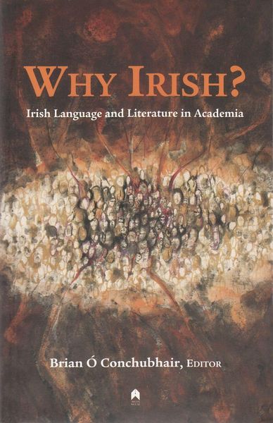 Produktbild: Why Irish?: Irish Language and Literature in Academia