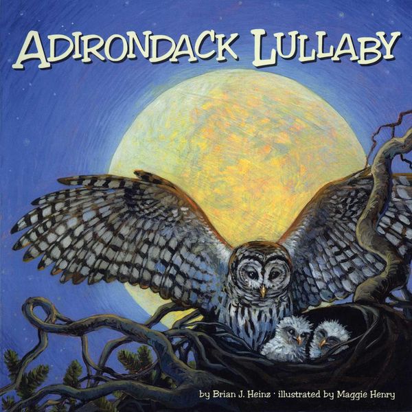 Produktbild: Adirondack Lullaby
