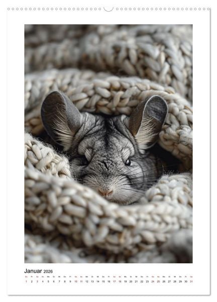 Produktbild: Waurick, K: Knuddlige Chinchillas (hochwertiger Premium Wand