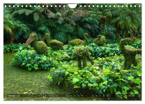 Produktbild: Terra Nostra Garten - ein botanisches Juwel auf den Azoren (Wandkalender 2026 DIN A4 quer), CALVENDO Monatskalender