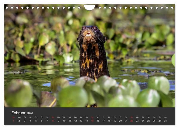 Produktbild: Wildlife Pantanal 2026 (Wandkalender 2026 DIN A4 quer), CALVENDO Monatskalender
