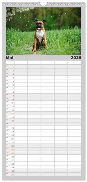 Produktbild: Familienplaner 2026 - Gut - besser - Boxer mit 5 Spalten (Wandkalender, 21 x 45 cm) CALVENDO