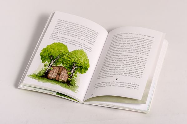 Produktbild: Zauberwald & Zwergenkraft