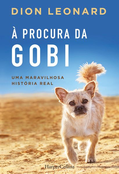 Produktbild: &Agrave; procura da gobi