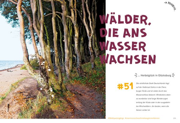Produktbild: 52 kleine & gro&szlig;e Eskapaden in Schleswig-Holstein an der Ostsee