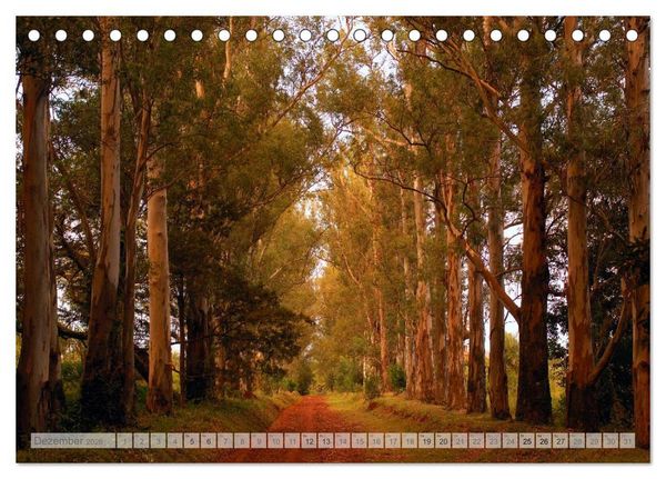 Produktbild: Argentinien Christian Heeb (Tischkalender 2026 DIN A5 quer), CALVENDO Monatskalender