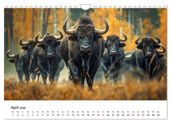 Produktbild: Reise in die Urzeit (Wandkalender 2026 DIN A4 quer), CALVENDO Monatskalender